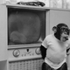 Image for article titled How To Walk In Front Of The TV When Someone Else Is Gaming
